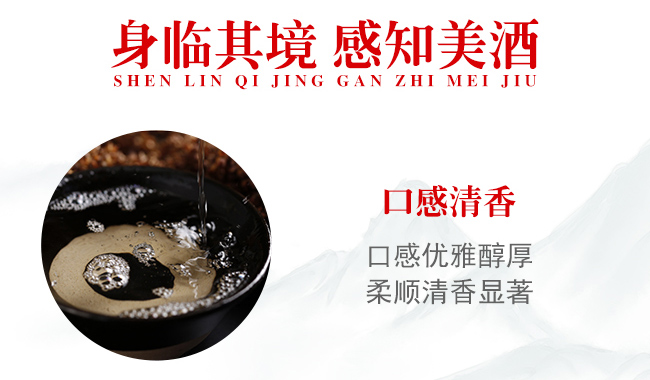 北京二锅头酒享酌黑方